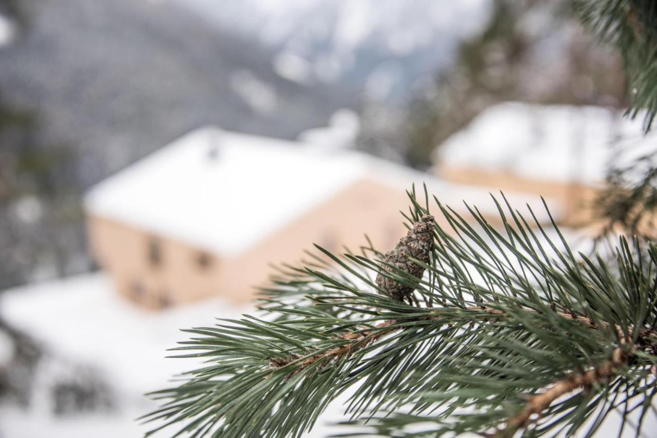 Archehof Hochzirm Lodge Anna Кампо Турес Екстериор снимка